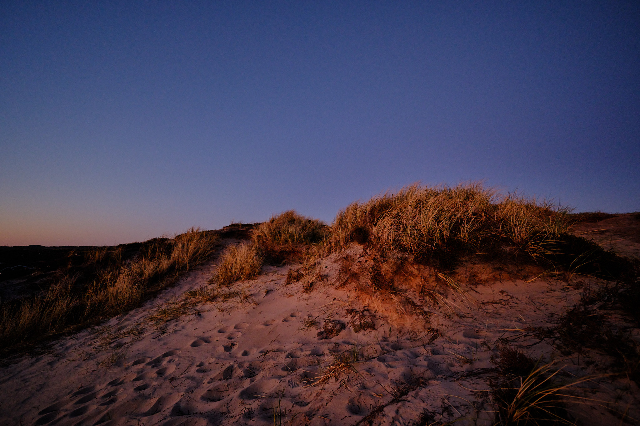 2025 05 16  xt 5   5217